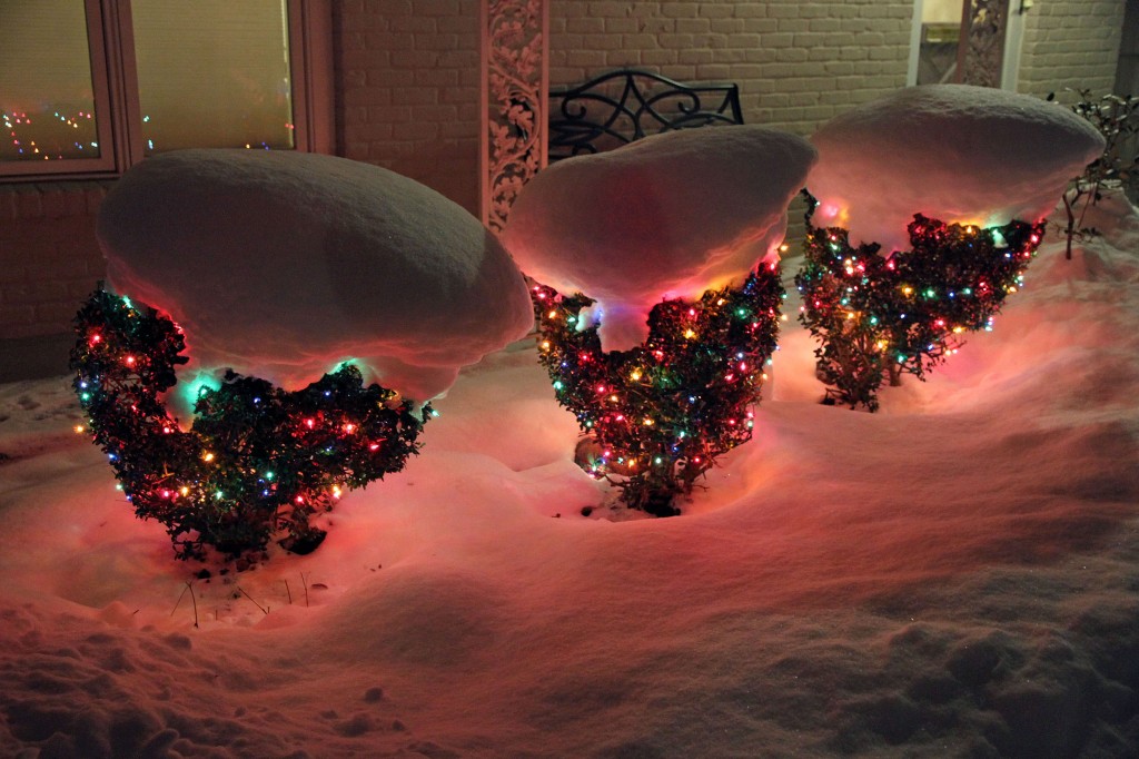 Muffin tops with Christmas Lights